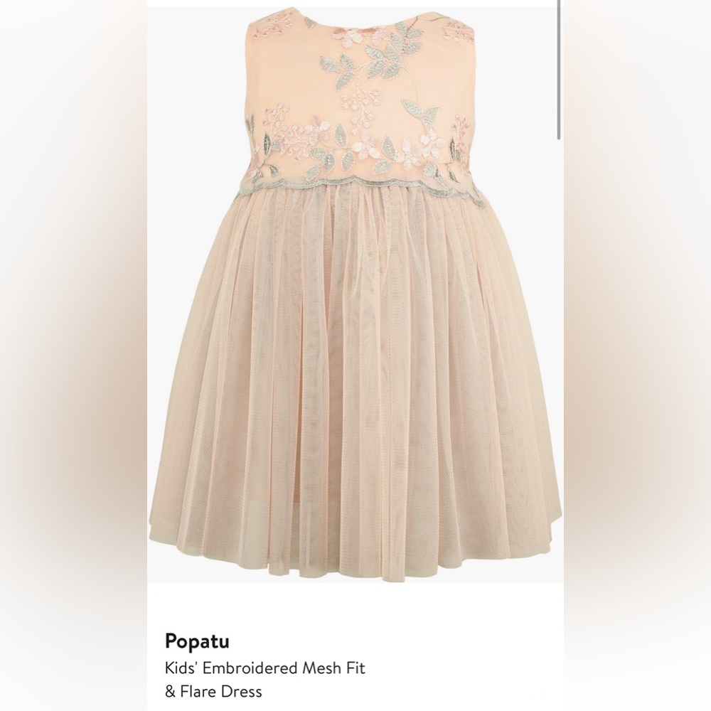 Popatu girls embroidered mesh floral flare dress
